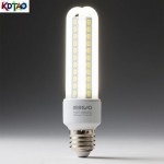 Light Bulb