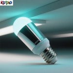 Light Bulb