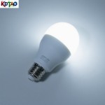 Light Bulb