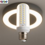 Light Bulb